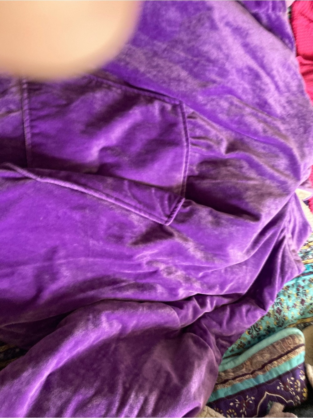 Plush Velvet Purple Women's Top